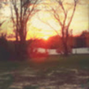 Meet your Posher, Carlo